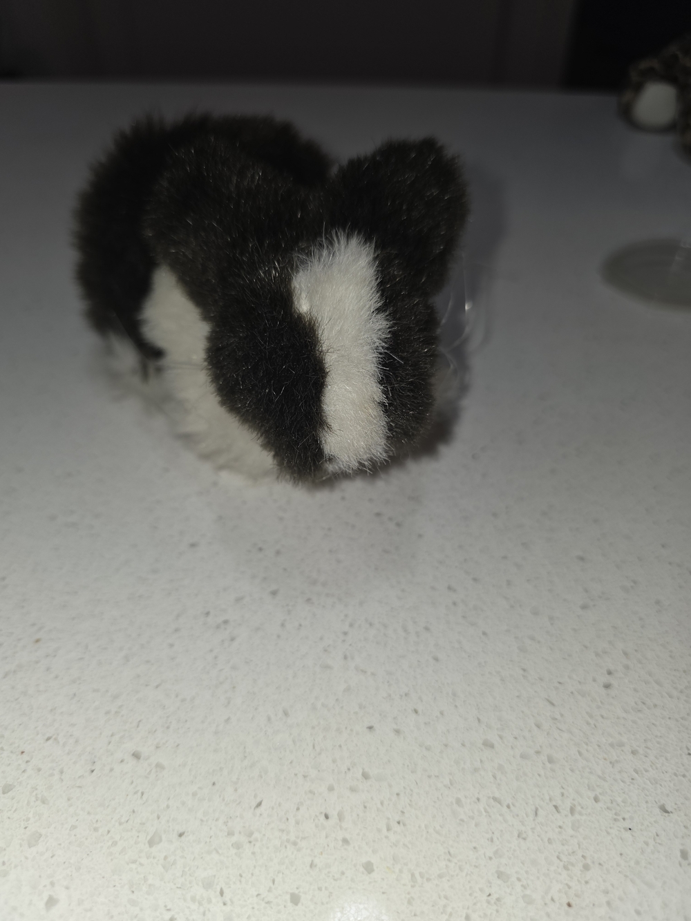 Black and White Small Pet Plush / Toy for Small Pets - Picture 1 of 6